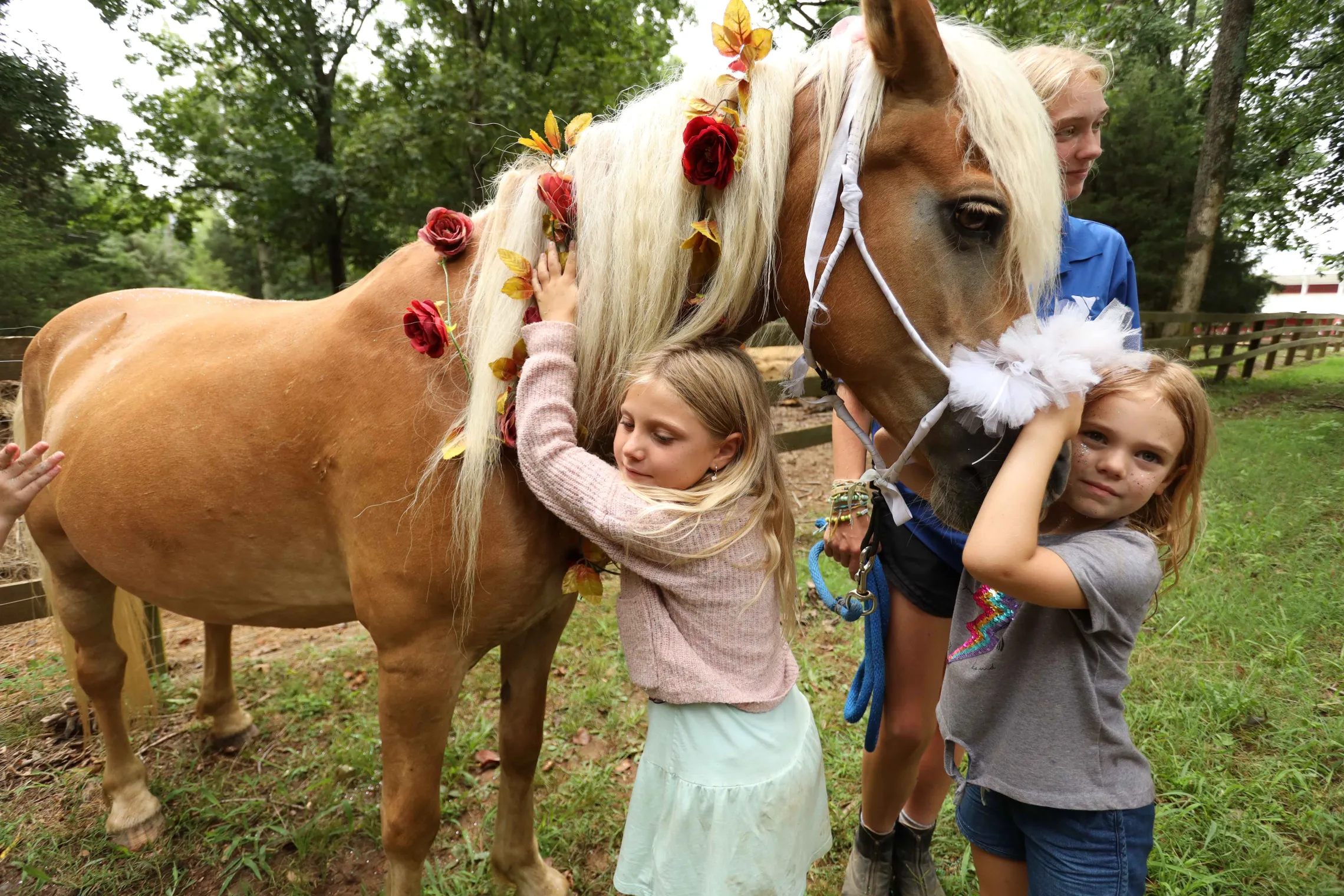 This Equestrian Is Making Whimsical Hairpieces For Horses - Heels